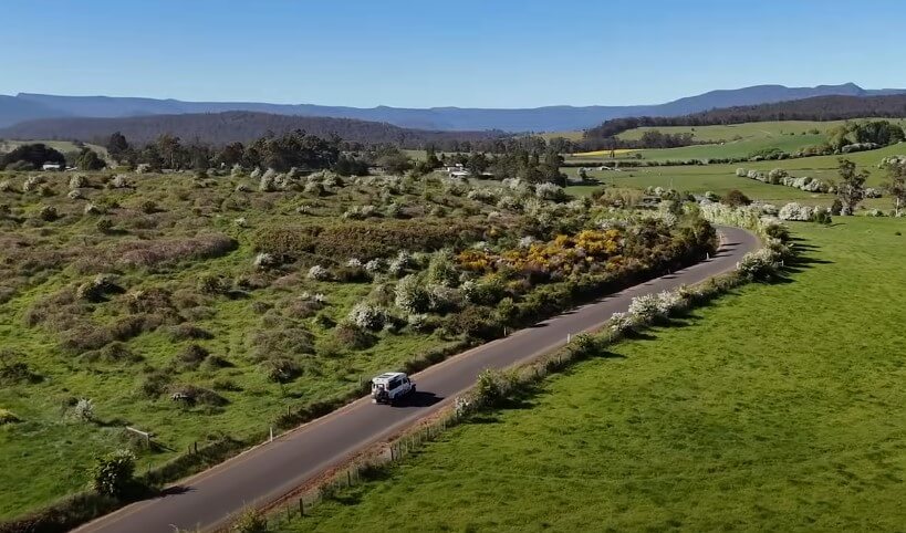 Winding road through a vibrant landscape of rolling hills and lush pastures