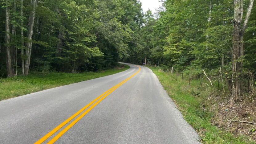 Peaceful forest road winding through Kentucky landscape, perfect for scenic drives in Kentucky