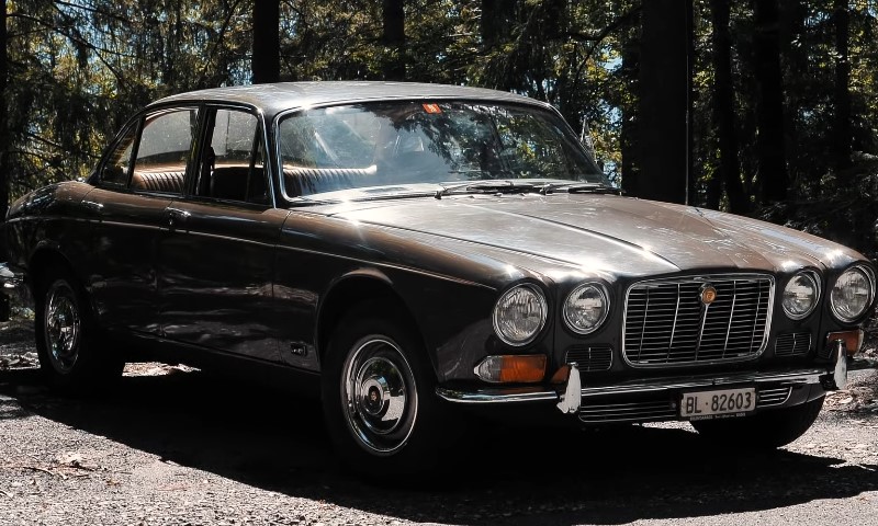 Classic Jaguar XK120 vintage car with a sleek, dark exterior parked in a sunlit forest